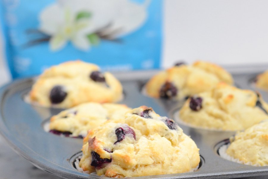 Collagen Blueberry Muffins